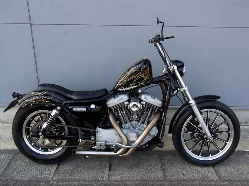 RIMG0013