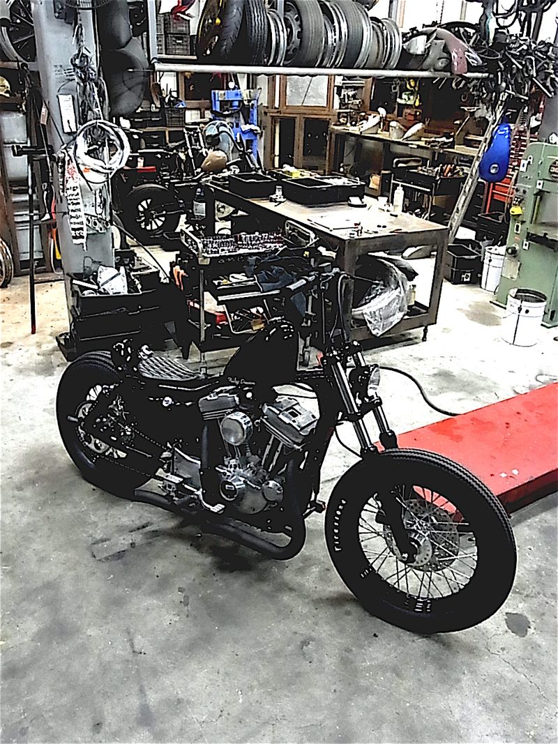RIMG0003 RIMG0003