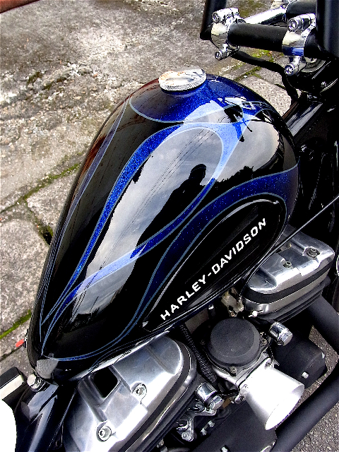 RIMG0003 RIMG0003
