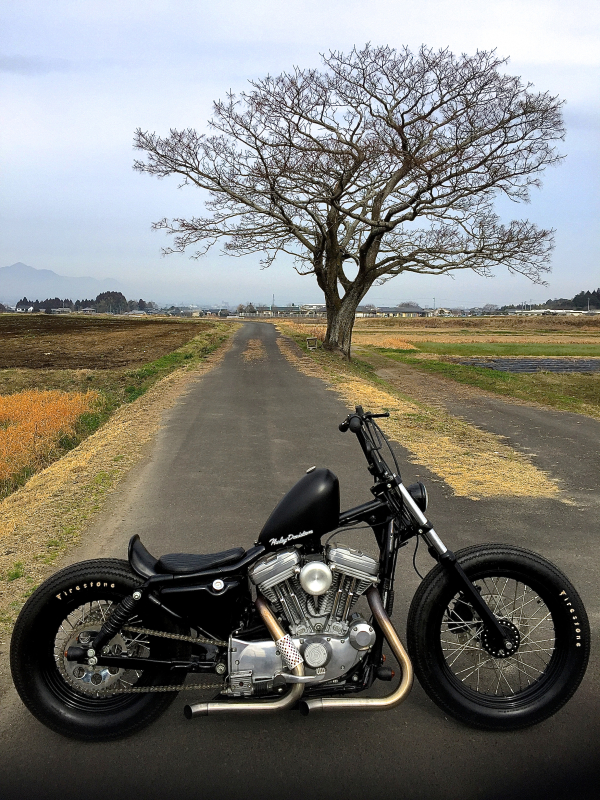 CRAZY ORANGE MOTORCYCLE: CRAZY DAYS!!!!!!